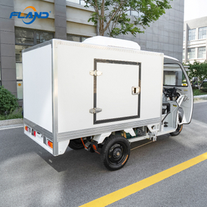 Armazenamento frio de triciclo el&eacute;trico h&iacute;brido Fland 180S 